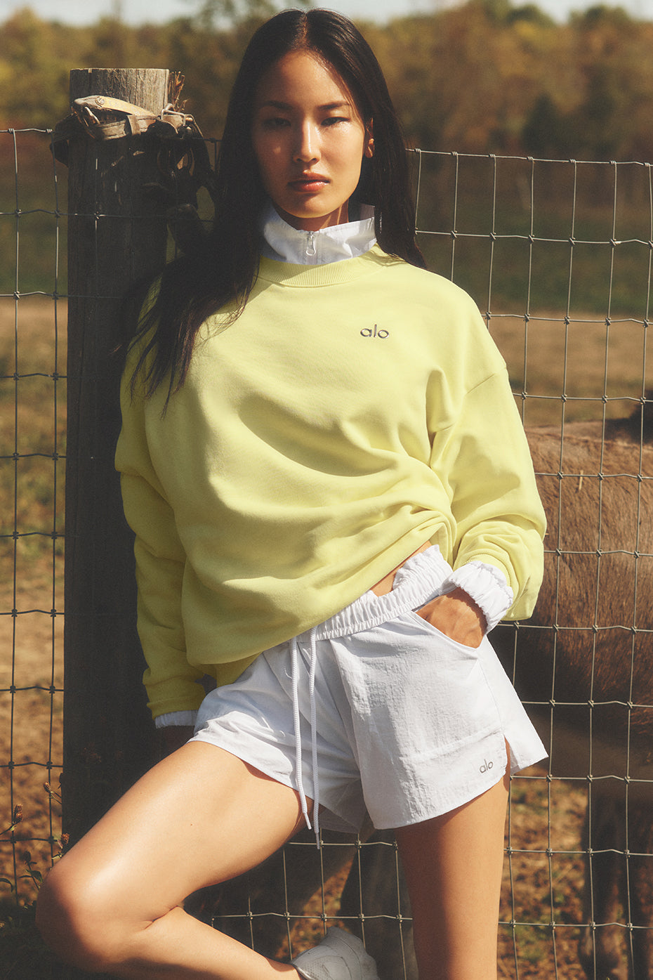 Accolade Crew Neck Pullover   Sunshine