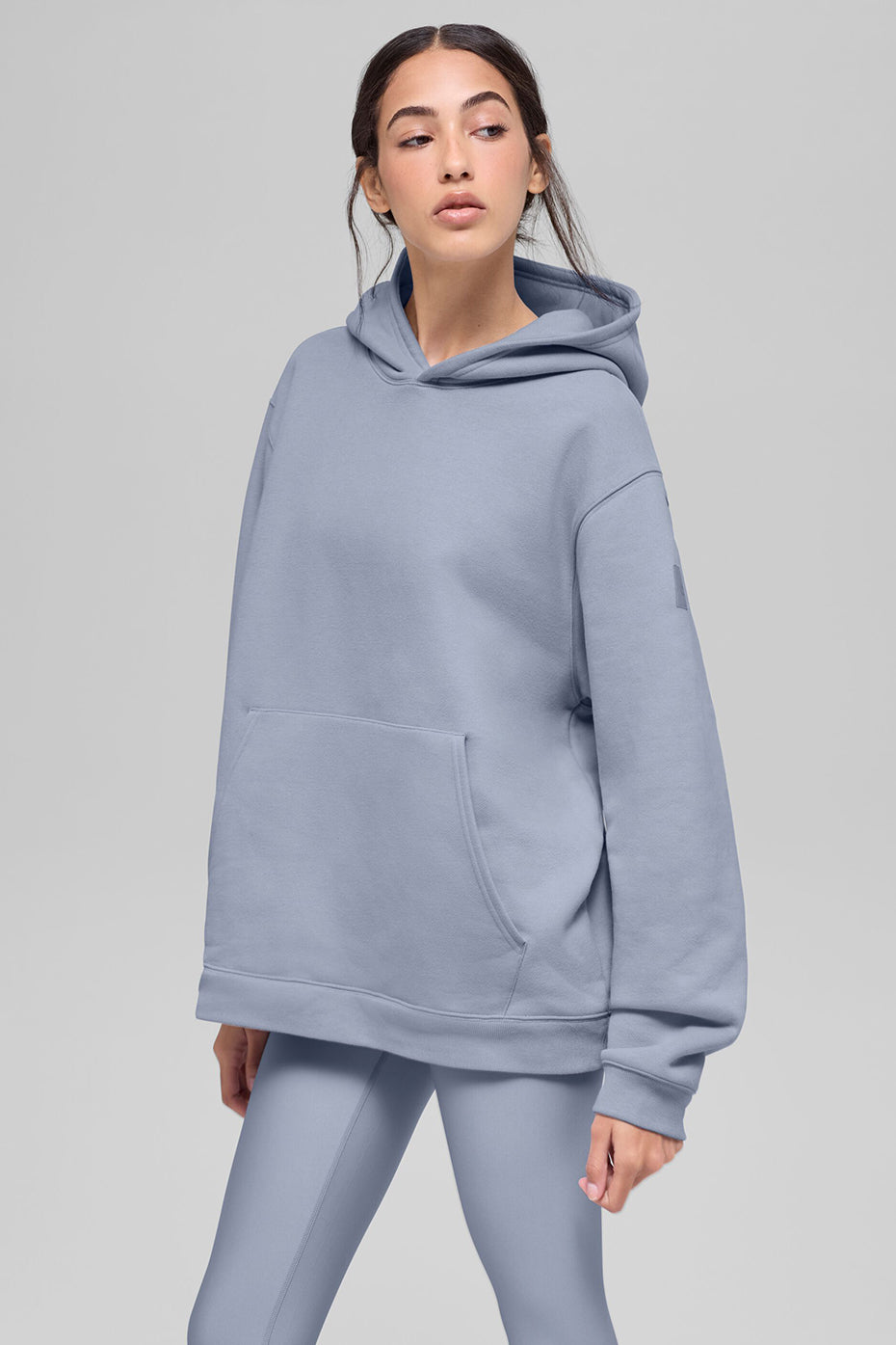 Renown Heavy Weight Hoodie   Winter Frost